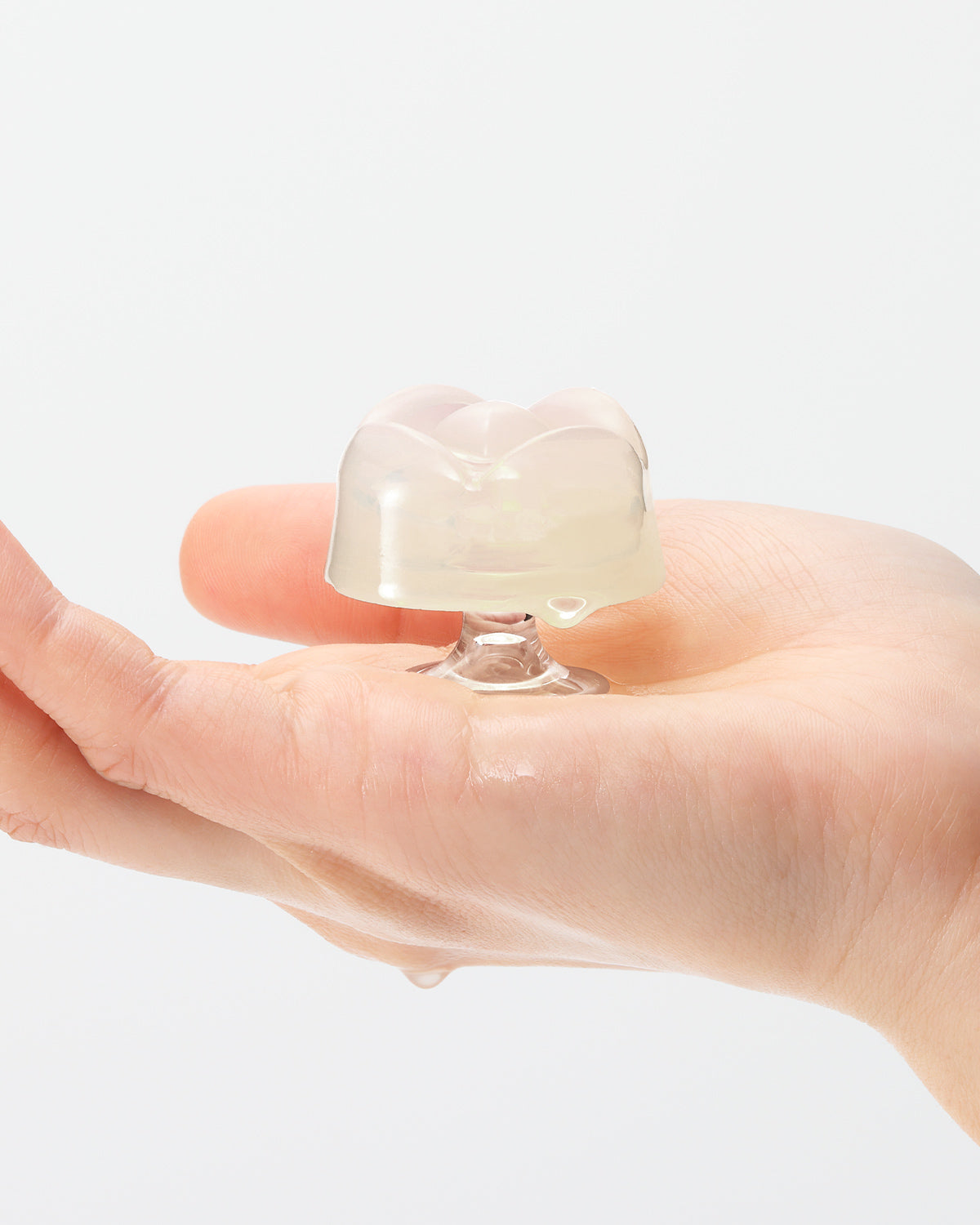 easy to use iroha petit